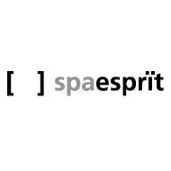 spaesprit logo