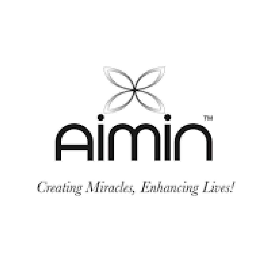 aimin logo